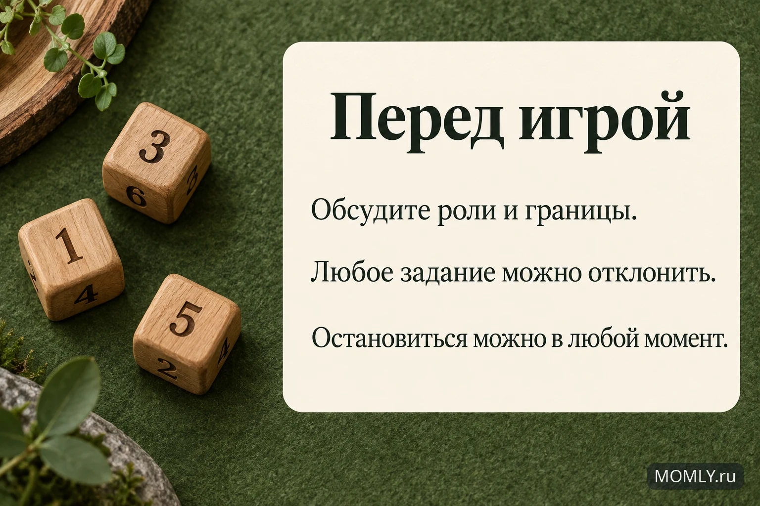 Деревянные кубики и карточка о границах, праве отклонить задание и остановить игру