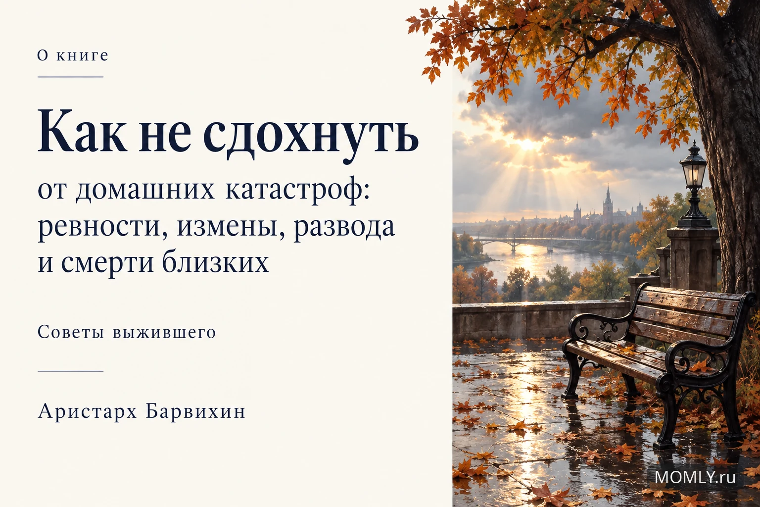 О книге «Как не сдохнуть от домашних катастроф: ревности, измены, развода и смерти близких» — Аристарх Барвихин. Советы выжившего.