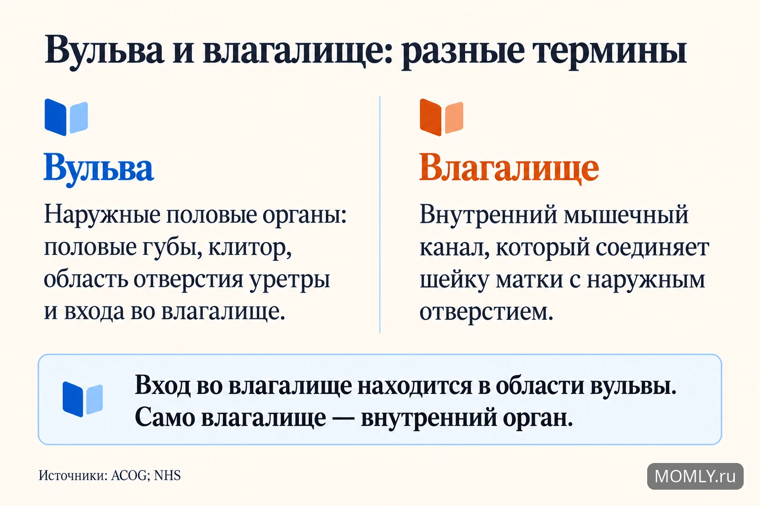 Вульва — наружные половые органы; влагалище — внутренний канал. Вход во влагалище находится в области вульвы.
