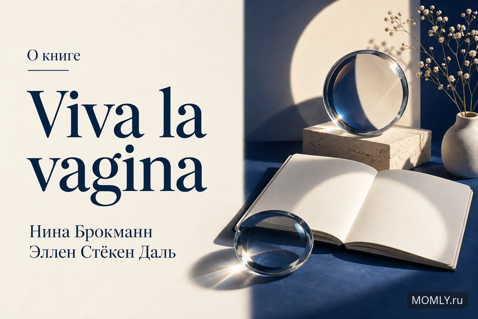 О книге «Viva la vagina» — Нина Брокманн; Эллен Стёкен Даль.